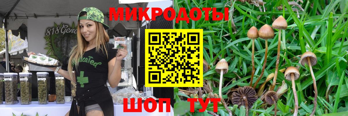наркошоп  Галлюциногенные грибы Cubensis  Вход с VPN  Улан-Удэ 